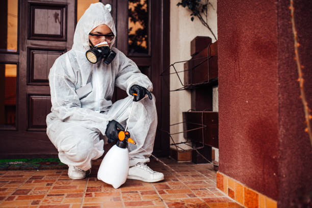 Reliable Cockroach Control contractor in East Merrimack, NH by Nex Pest Control
