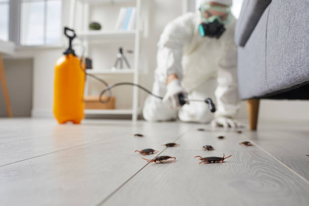 Trusted Fumigation Services service in East Merrimack, NH - Nex Pest Control