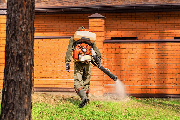 Trusted Cockroach Control service in East Merrimack, NH - Nex Pest Control